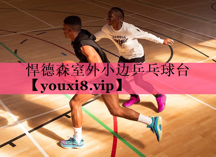 悍德森室外小边乒乓球台
